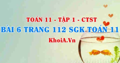 Bài 6 trang 112 SGK Toán 11 Tập 1 Chân trời sáng tạo
